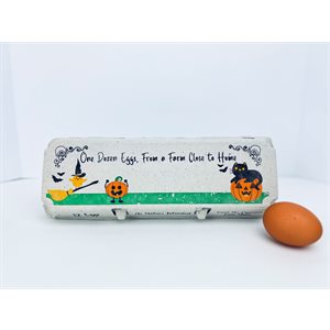 12-Egg Cartons Halloween Design