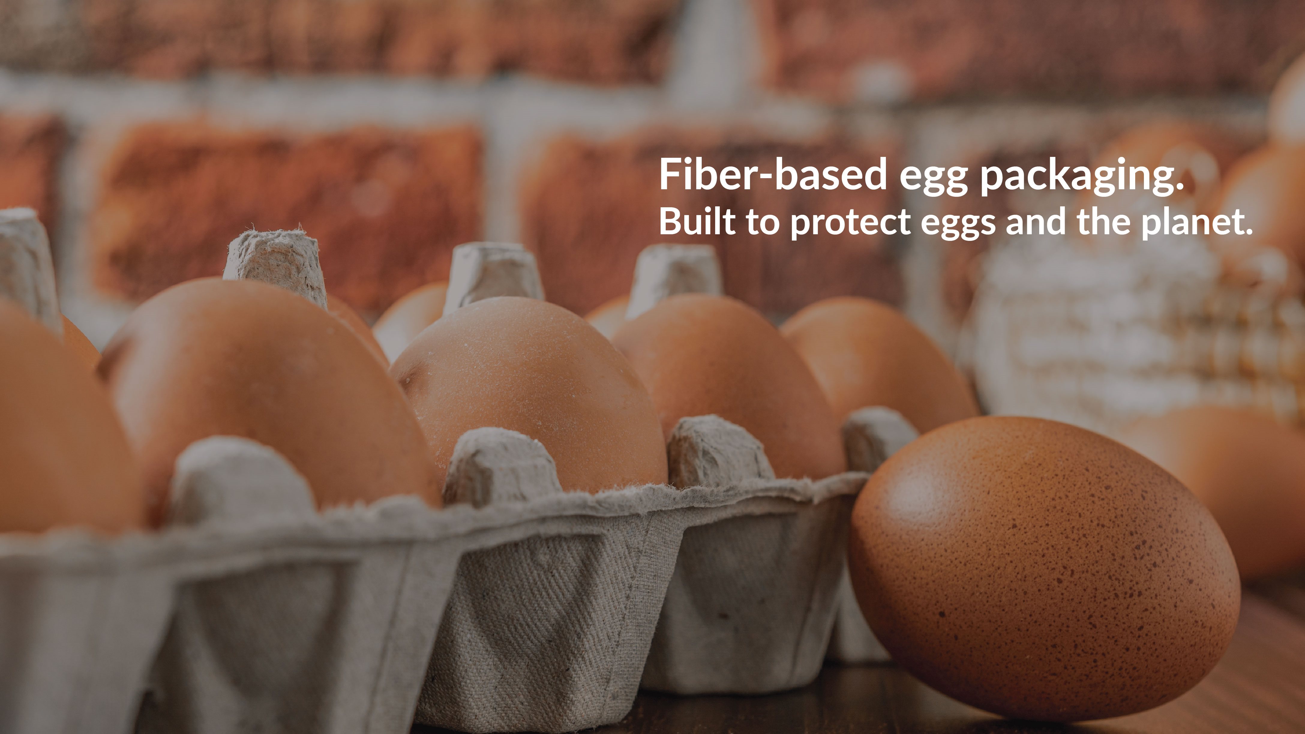 Fiber-based egg packaging.Built to protect eggs and the planet.